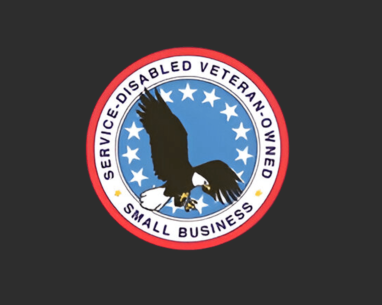 Eagle logo for veteran-owned small business.